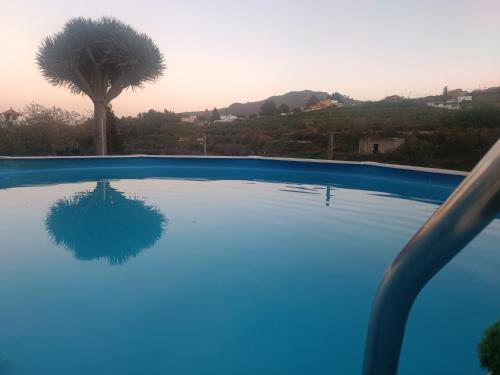 una piscina azul con una palmera en el fondo en La Morisca en Vega de San Mateo