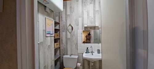 La salle de bains est pourvue d'un lavabo, de toilettes et d'un miroir. dans l'établissement Studio hyper centre Les Sables, à Les Sables-dʼOlonne