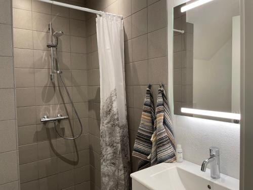 y baño con cortina de ducha y lavamanos. en Mormors Stue - Grethelund, en Silkeborg