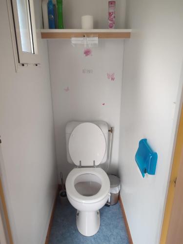 Cette petite chambre comprend une petite salle de bains pourvue de toilettes. dans l'établissement Mobil home a ste croix du verdon camping 3, à Sainte-Croix-de-Verdon
