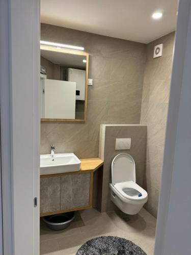 a bathroom with a toilet and a sink and a mirror at Apartman ANNA ATINA Budva in Budva