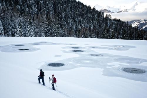Fotografie z fotogalerie ubytování Haus Sieben Zwerge v destinaci Ehrwald
