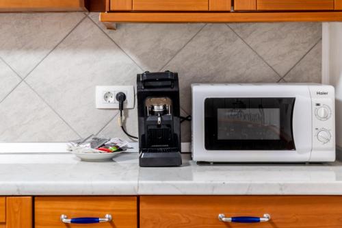 a microwave sitting on top of a kitchen counter at Apartma Lozar in Ajdovščina