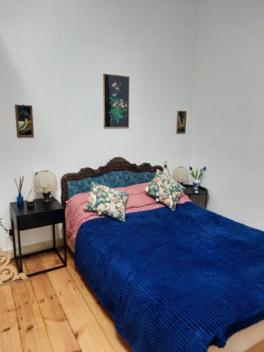 ein Schlafzimmer mit einem blauen Bett mit zwei Kissen in der Unterkunft D&D apartaments in Tbilisi City