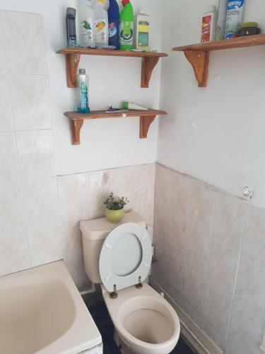 a bathroom with a toilet and a sink and shelves at Bromley Cosy in Bromley