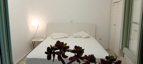a bedroom with a white bed with a plant on it at Liopi Village Andros in Órmos