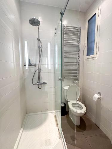 une salle de bain avec toilettes et douche en verre dans l'établissement Les Terrasses D'Herold, à Nice