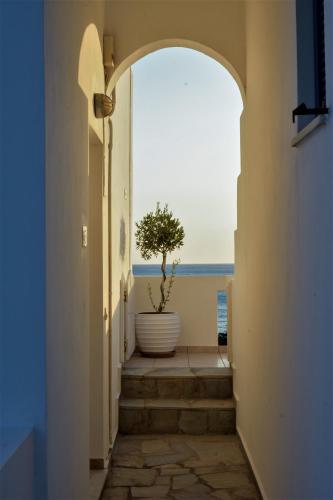 a hallway with a plant in a large vase at Villa Maniati Studios in ayios Petros