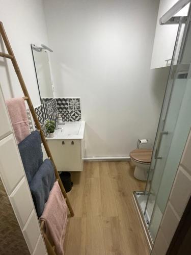 une salle de bains avec lavabo et toilettes dans l'établissement Bmco cottage, à Estrées-Saint-Denis