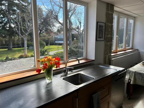 a kitchen with a sink and a vase of flowers on the counter at Family home with pool and large garden in Becerril de la Sierra