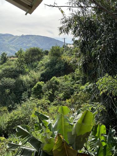 Φυσικό τοπίο κοντά σε αυτό το κατάλυμα σε φάρμα