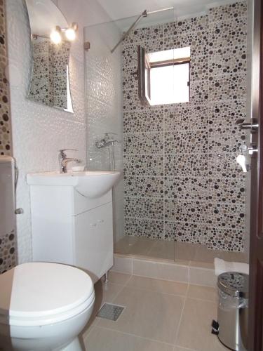 a bathroom with a toilet and a sink and a shower at Vila Queen Mary in Constanţa