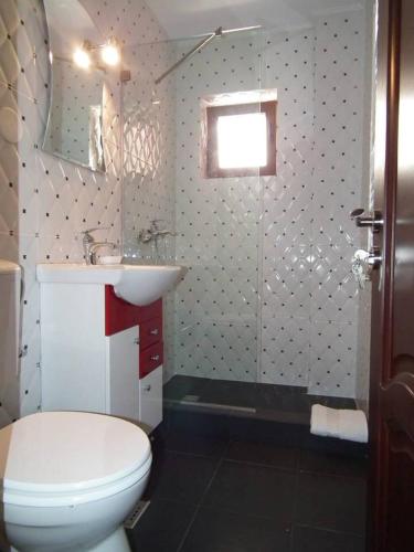 a bathroom with a toilet and a sink and a shower at Vila Queen Mary in Constanţa
