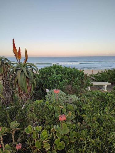 a garden with flowers and a bench on the beach at Seester Strandhuis in Jeffreys Bay