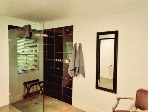 a bathroom with a glass shower with a mirror at Brenaissance Wine & Stud Estate in Stellenbosch