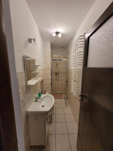a bathroom with a sink and a shower at Ogrodzieniec Pokoje 59 in Ogrodzieniec