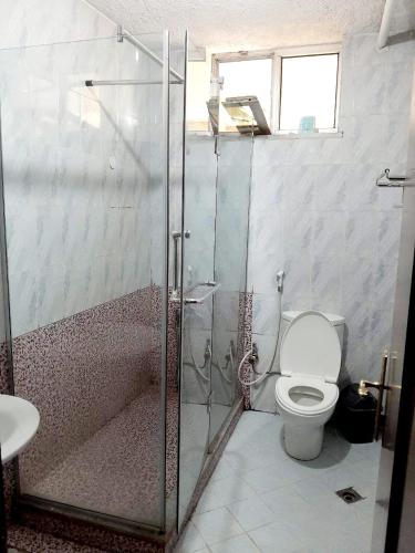 uma casa de banho com um WC e uma cabina de duche em vidro. em A Furnished Apartment at the heart of Addis Ababa, Ethiopia em Addis Ababa