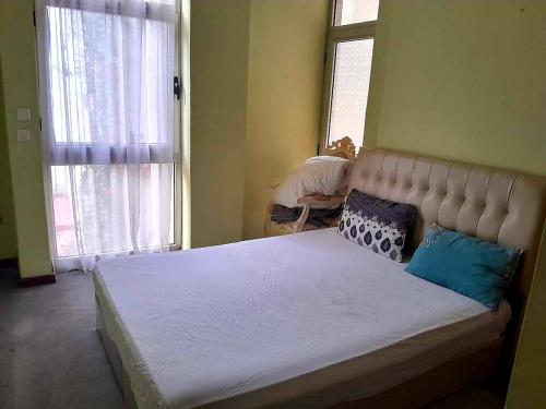 um quarto com uma cama grande com duas almofadas em A Furnished Apartment at the heart of Addis Ababa, Ethiopia em Addis Ababa