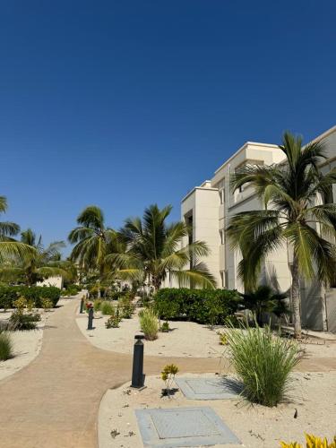 a walkway with palm trees in front of a building at Amazing Apartment in Salalah