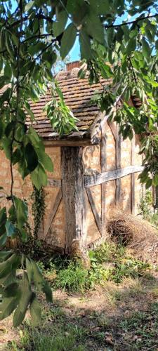 Κήπος έξω από το Gîte l'Echauguette du Perche