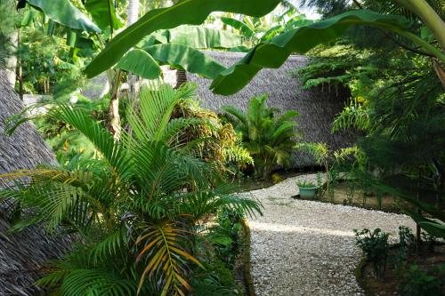 a garden with a bunch of trees and plants at Basa-basi Lodge in Karimunjawa