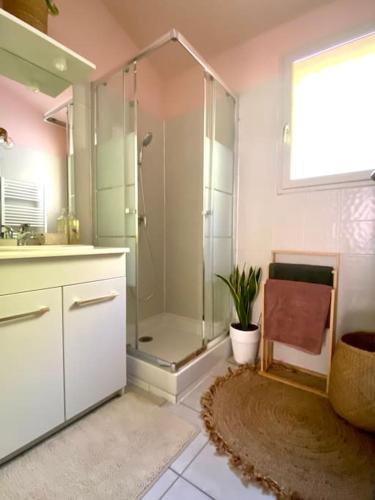 La salle de bains est pourvue d'une cabine de douche en verre. dans l'établissement Loft au pied du Lubéron, à Cadenet