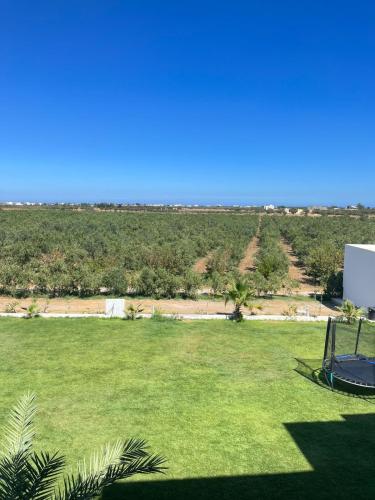 a view of a yard with a basketball hoop at Maison des Oliviers, Yasmine Hammamet, Bouficha in Hammamet Sud
