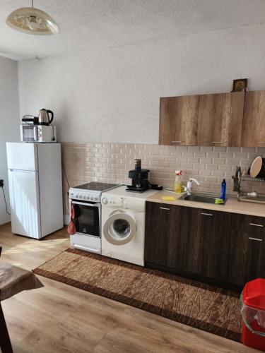 Кухня или кухненски бокс в Apartment Lachevi