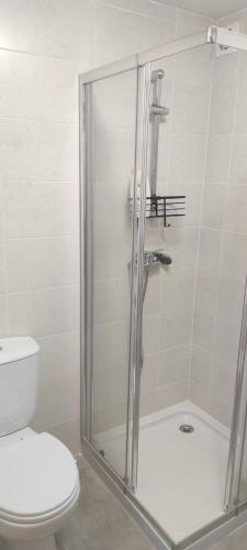 a bathroom with a shower and a toilet at Da Silva house in Seia