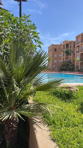 un palmier installé à côté d'une piscine dans l'établissement RICO FLORES PALM BENSLIMANE, à Mohammedia