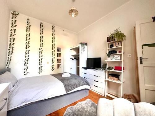 ロンドンにあるA lovely guest room in West Londonのベッドとテレビのある寝室