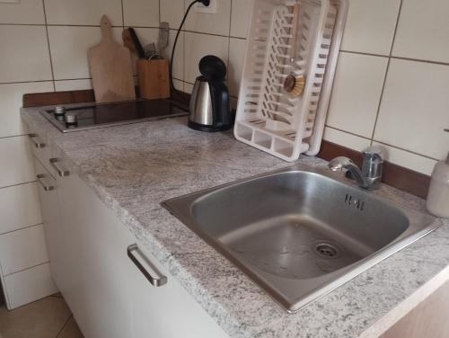 een aanrecht met een roestvrijstalen wastafel bij Apartment Sever in Idrija