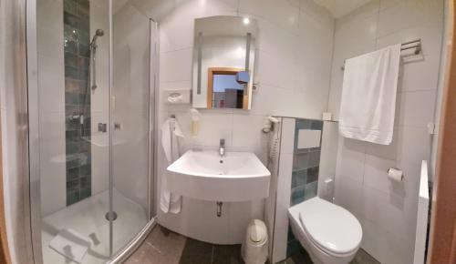 a bathroom with a sink and a shower and a toilet at Kräuterhotel & Restaurant Heidejäger in Mulmshorn