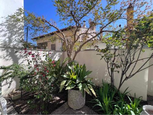 Foto Retro House with Garden in Anopoli 6