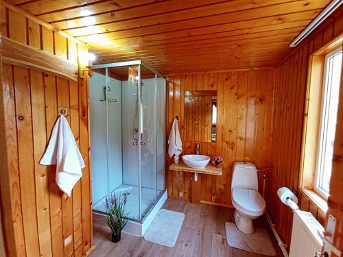 een badkamer met een douche, een toilet en een wastafel bij Pensiunea Poarta Raiului in Cugir