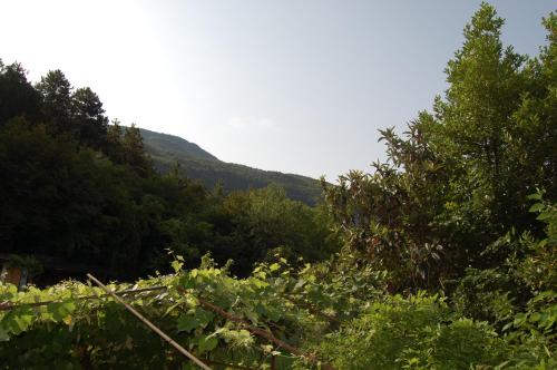 Φυσικό τοπίο κοντά σε αυτό το διαμέρισμα