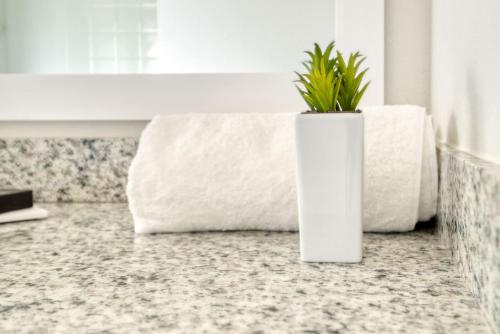 a white vase with a plant sitting on a counter at Deluxe One Bedroom Apartment in Gainesville