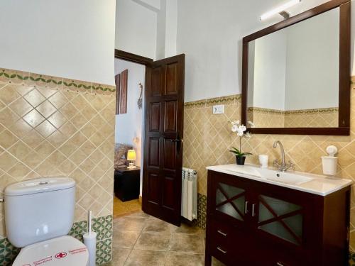 uma casa de banho com um WC, um lavatório e um espelho. em El Rincon del Torcal em Villanueva de la Concepción