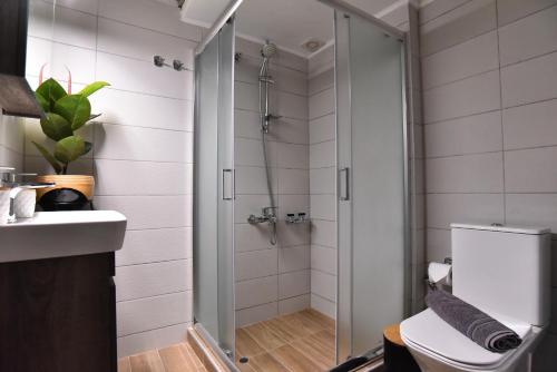 ein Bad mit einer Dusche, einem WC und einem Waschbecken in der Unterkunft Antoine Apartment in Néa Péramos