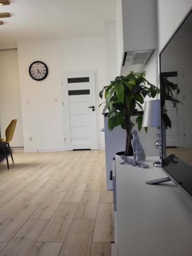 una sala de estar con un reloj en la pared y una planta en Apartament Dolina Baryczy Milicz, en Milicz