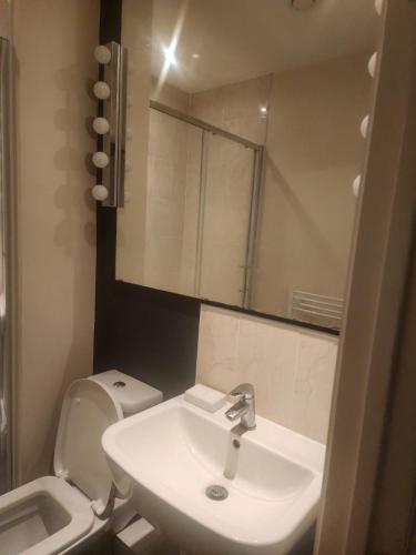 ein Badezimmer mit einem Waschbecken, einem WC und einem Spiegel in der Unterkunft SEYI in Hatch End