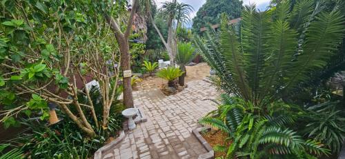 an overhead view of a brick walkway in a garden at Havana Nights in Graskop