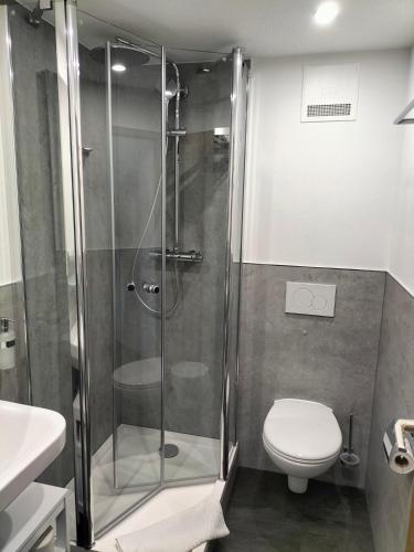 a bathroom with a shower with a toilet and a sink at Hotel Silbertanne in Hohegeiß