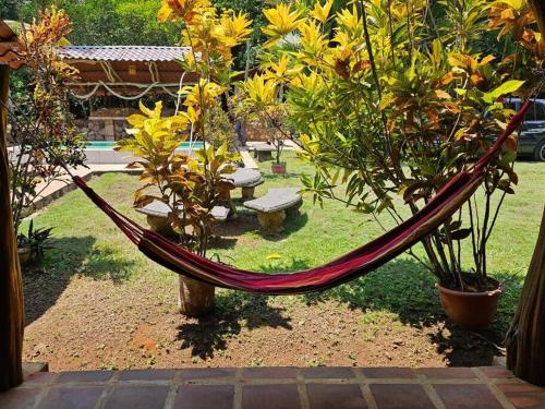 Galería fotográfica de Villa Thuja, 3B, place for a relaxing getaway en Nances
