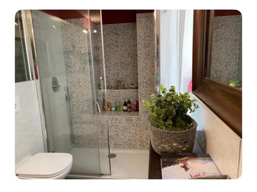 A bathroom at Suite Lago blu