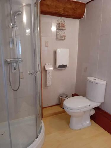 une salle de bain avec toilettes et douche dans l'établissement Gîte Sèvremoine Bois Buteau, à Montfaucon
