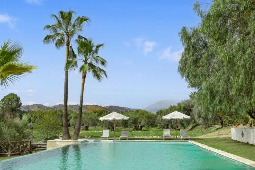 een zwembad met palmbomen, stoelen en parasols bij Finca La Familia Naranja in Coín