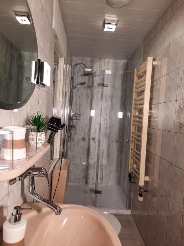 a bathroom with a shower and a sink at Haus Seeblick in Roßbach