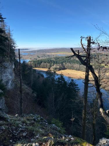 - une vue sur une rivière depuis une colline arborée dans l'établissement studio de jardin, à Domblans
