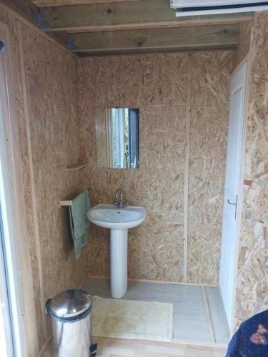 une salle de bain avec un lavabo et un miroir dans l'établissement studio de jardin, à Domblans